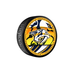 InGlasCo Fanouškovský puk NHL Medallion Blister (1ks), Nashville Predators