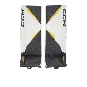 CCM Betony CCM Axis 2.9 INT, Intermediate, 31+1", bílá