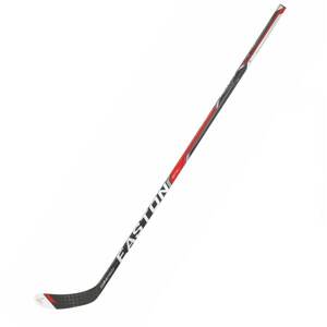 Easton Hokejka Easton Synergy GX SR, Senior, 100, R, E28